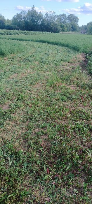 Мотоблок 6 дизель