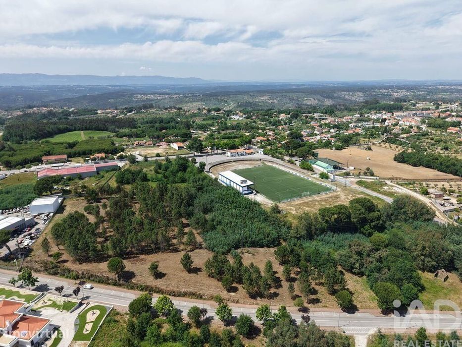 Terreno Agrícola em Carregal do Sal