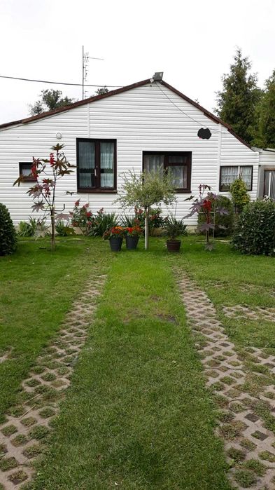 Zdjęcie 6