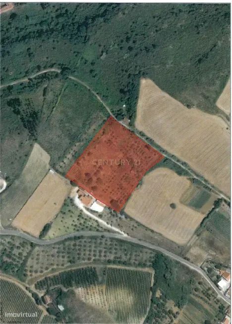 Alenquer - Terreno c/ vista para Serra do Montejunto
