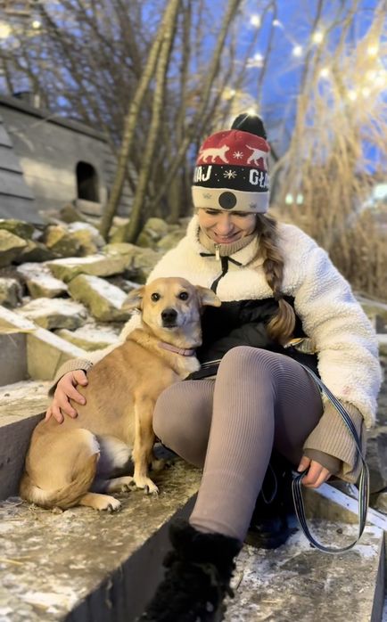 Niskopodłogowy samiec do adopcji