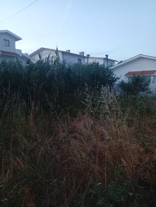 Limpeza de terrenos