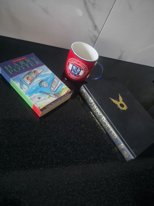 Harry Potter and the cursed child z podzialem na role kubek ksiazki po angielsku