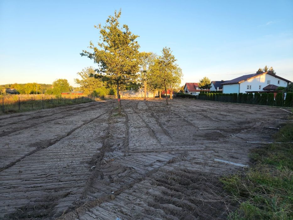 Mulczowanie Wycinka drzew Frezowanie Karczowanie Mulczer Wgłębny Leśny