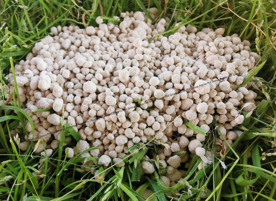 Wapno Granulowane MAGNEZOWE KREDOWE WĘGLANOWE Czarna Kreda -Producent-