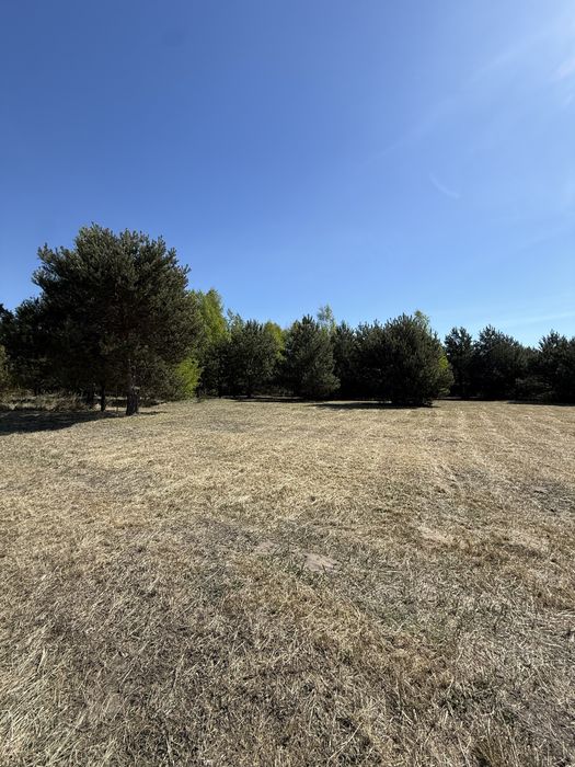 Działka budowlana 1288 m² z prądem Adamowa Góra - Widok 2