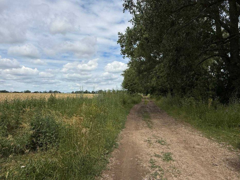 Продається земельна ділянка в с. Іванівка 7811