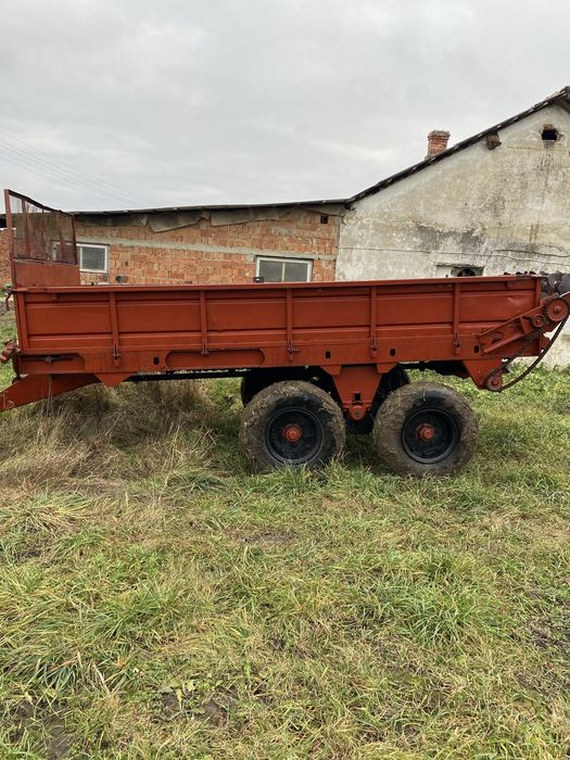 Роу 6 доглянутий