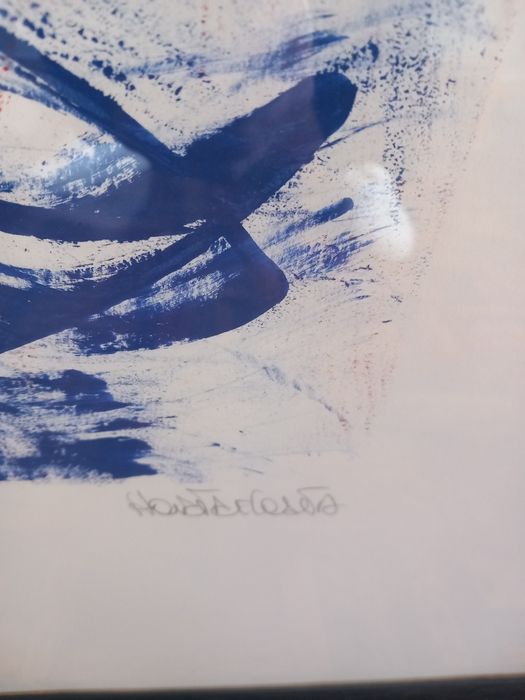 Quadro - tecni a mista- horta e costa.