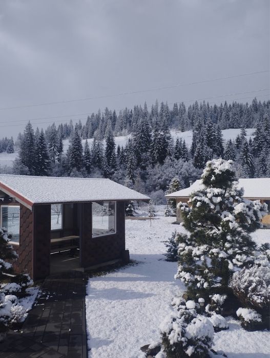 Відпочинок в Карпатах#Волосянка(Славсько)житло#будинок без господарів