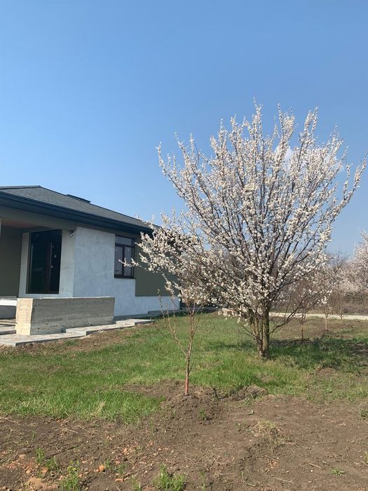 Продам дом в Черкасской Лозовой