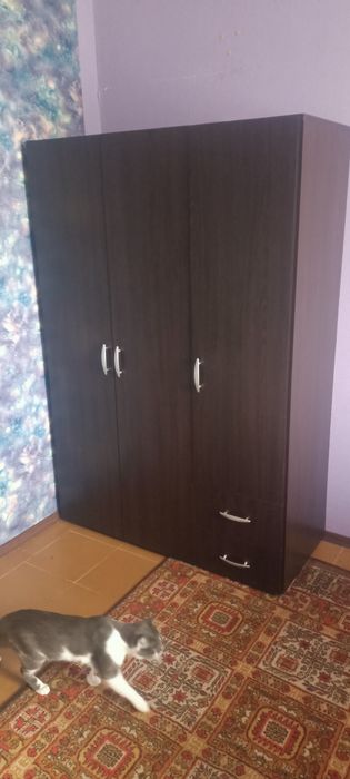 Шкаф розпашний темний
