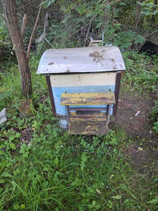 Ule z pszczołami.Nadstawki,wregi,pszczoły,odkłady