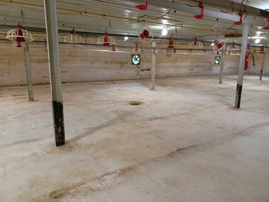 Sprzedam Kurnik Magazyn Hale Stadnina z dużą działka przy A18