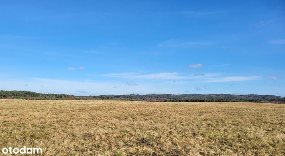 działki budowlane - Widok 4