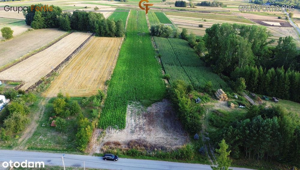 Działka rolno-budowlana,Tempoczów Kolonia, 1,85ha