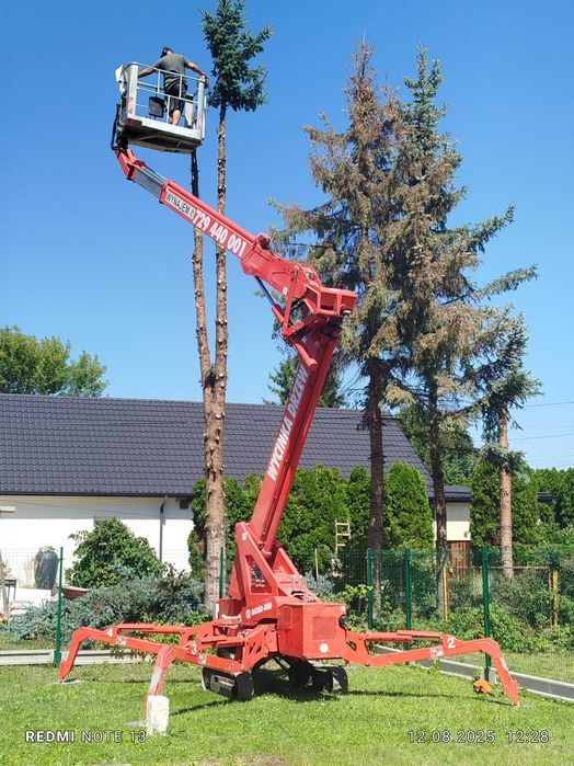 Usługi dzwigowe hds