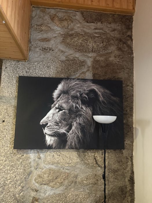 Vendo conjunto de quadros ou separado