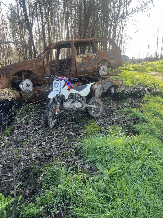 pit bike kayo 160