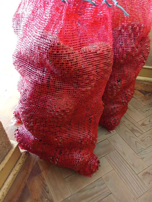 pinha brava para churrasco