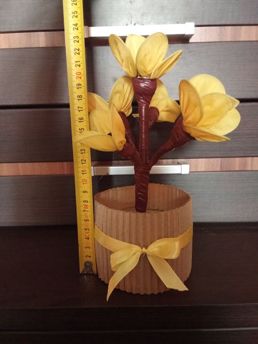 Żółty kwiat w doniczce