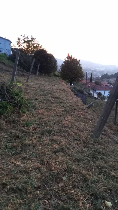 Limpezas de terrenos