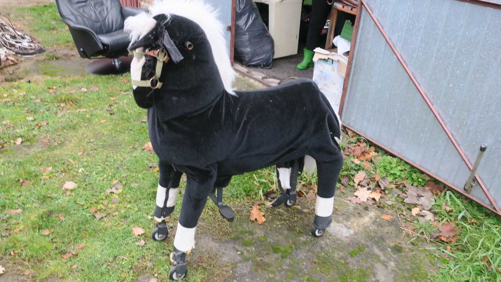 Duży koń na kółkach