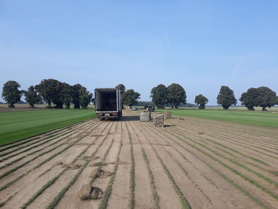 Trawa w rolce *Premium* - PLANTACJA | Montaż