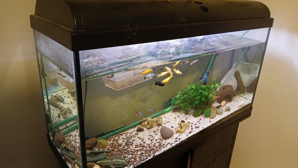 Aquario Completo