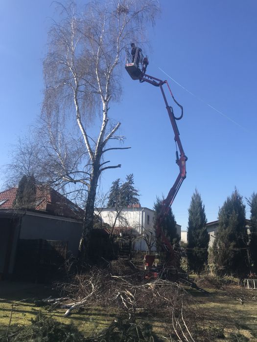 Wynajem podnośnik koszowy na gąsienicach  14m i 18m