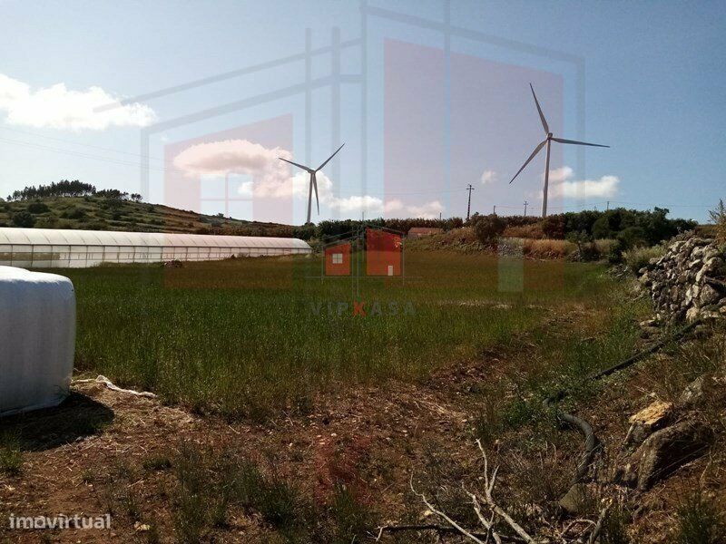 terreno rustico em Fontelas , com 1200 m2.