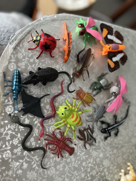 Звери жуки, ферма , рыбы .