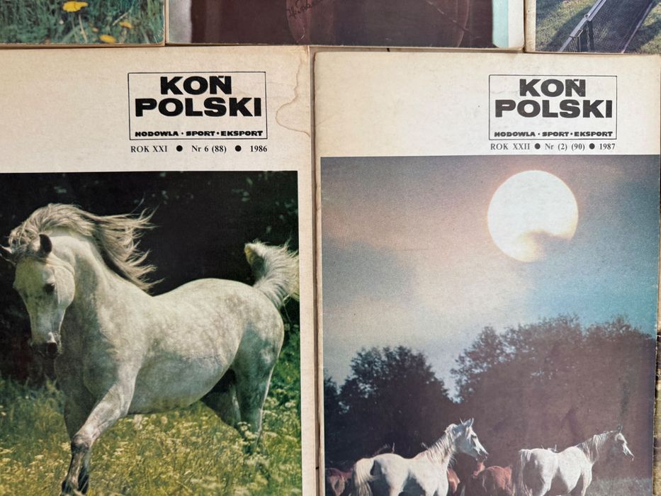 Miesięcznik Koń Polski