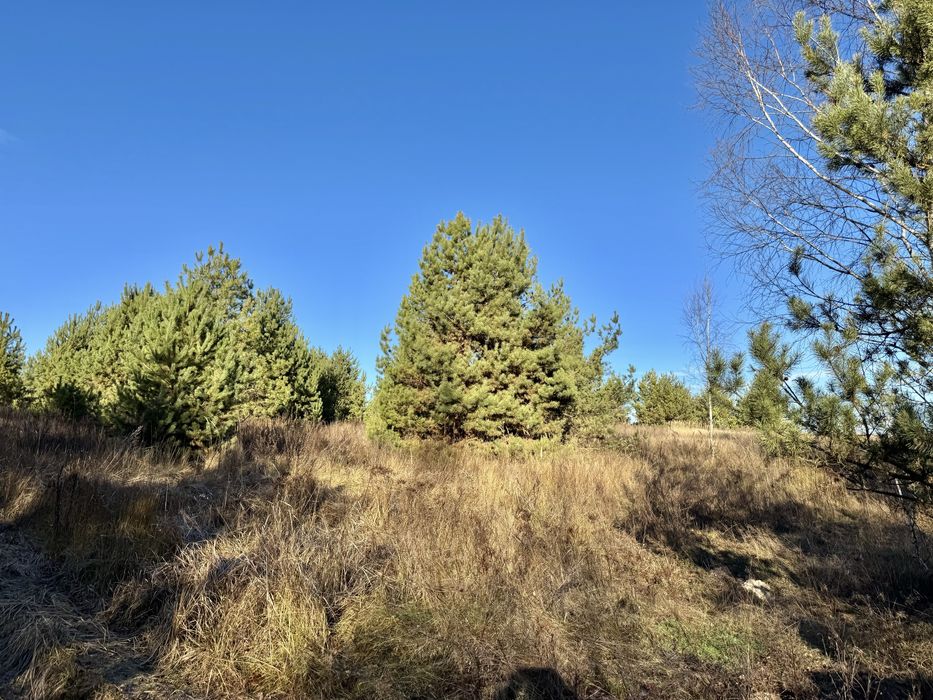 Земельна ділянка 8 Га! Ясногородка!