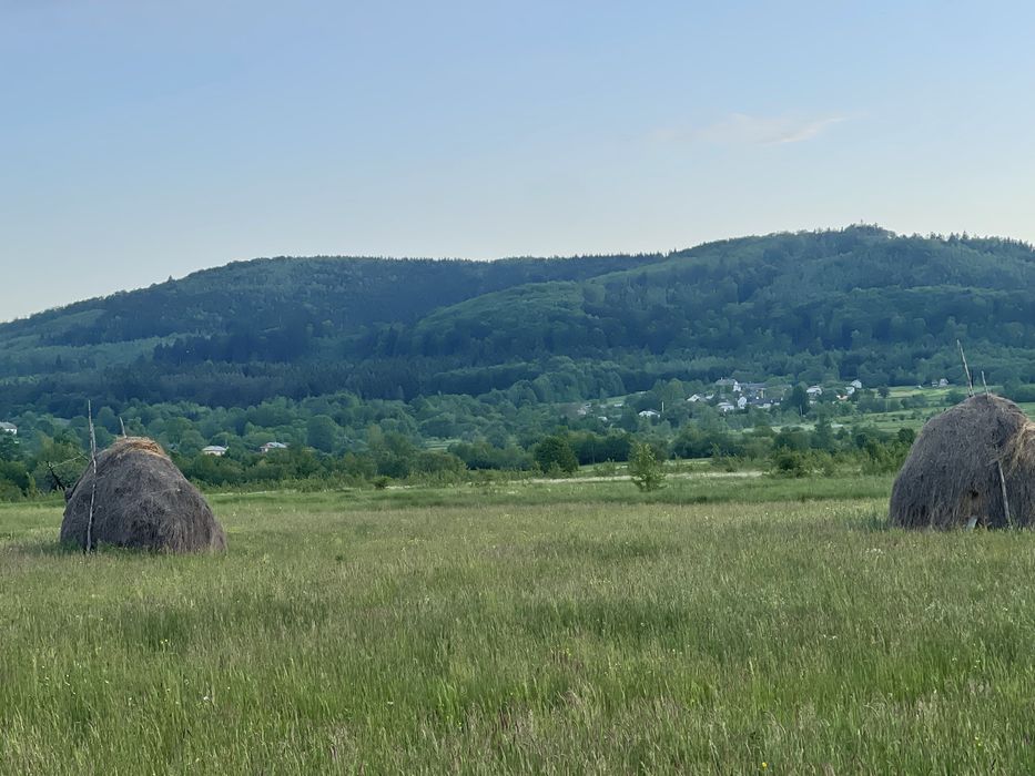 Ділянка під будівництво біля лісу.