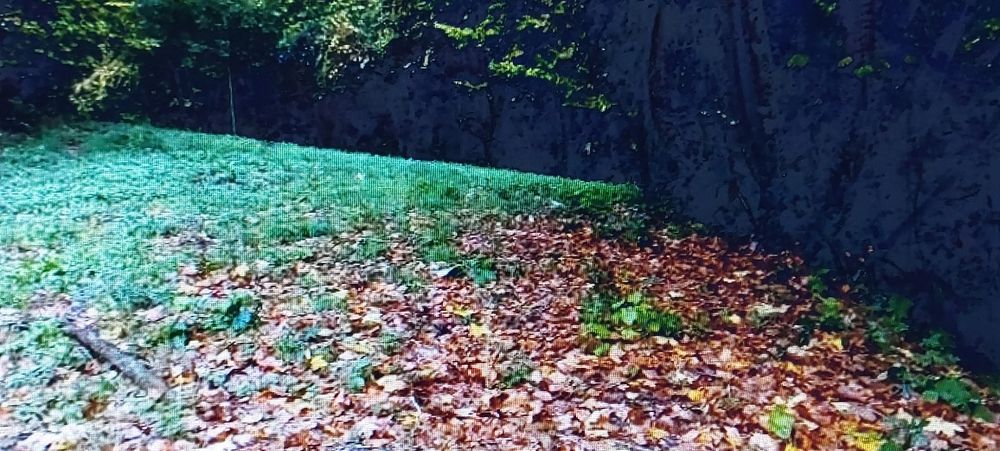 Quintinha com Moinho de água  ,em Celorico de Basto