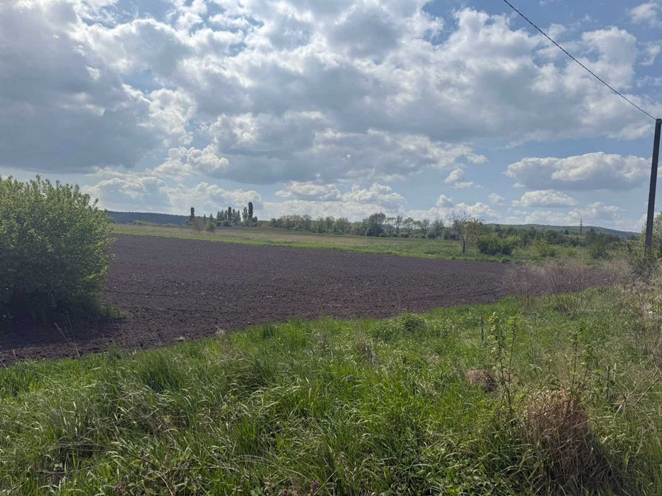 Ділянка 43,6 сотих, під забудову, с Чишки, ПІД РЯД КОТЕДЖІВ Відмінна!!