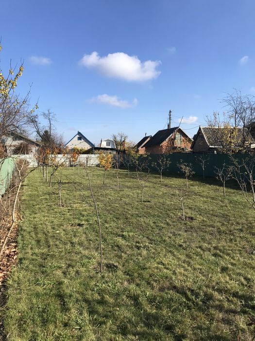 Фруктовий сад в ОЗОНІ