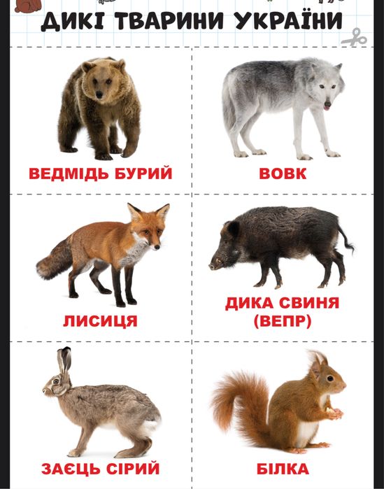 Картки Домана, картки для розвитку дітей, електронний варіант