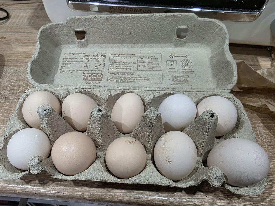 Jaja wiejskie od kurek