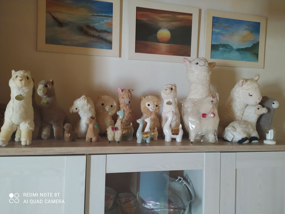 Sprzedam kolekcję alpak