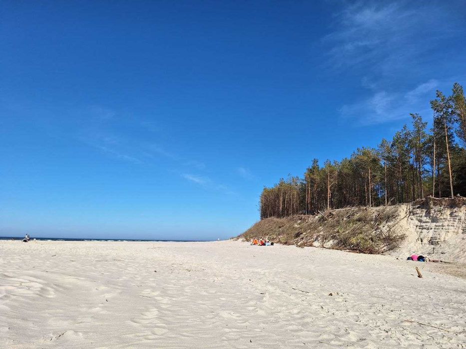 Dębki, bezpośrednio, wyjątkowa i urokliwa, duża działka BUDOWLANA 2172 m² - View 3
