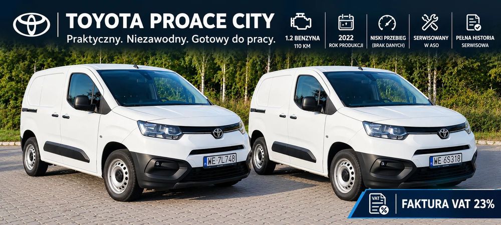 Pozostałe Dostawcze