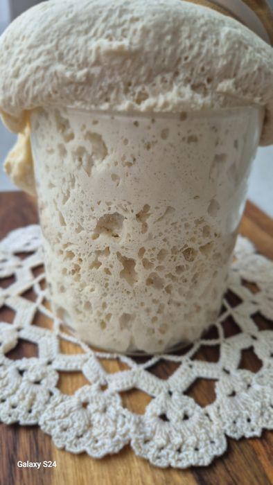 Zakwas pszenny Lievito Madre