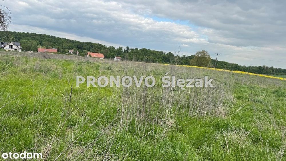 Sprzedam działkę z potencjałem