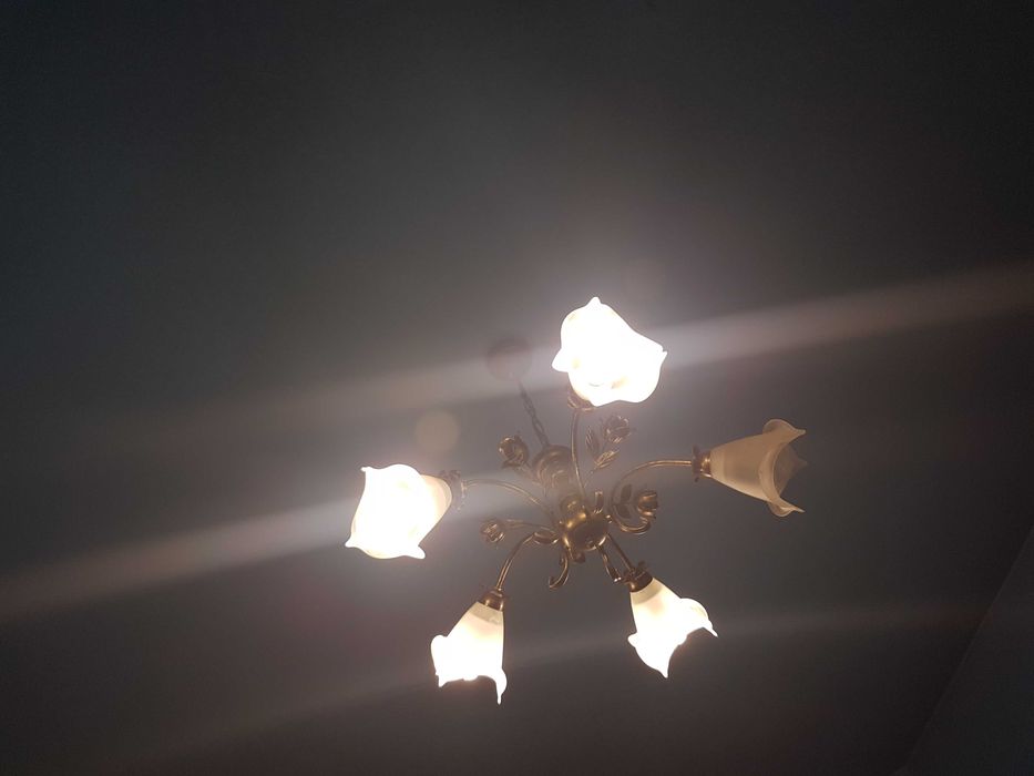 Żyrandol lampa kuty róże na pięć żarówek
