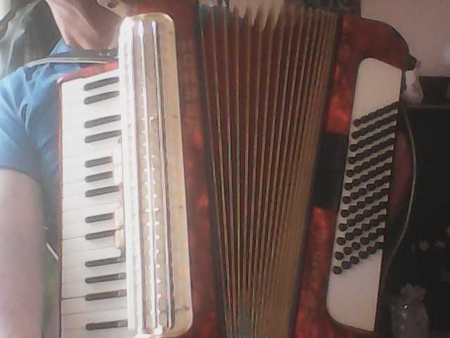 Akordeon Hohner Concerto ||| 72 Basy z futerałem wdobrym stanie całkowicie sprawny sprzedam lub zamienie na keybord