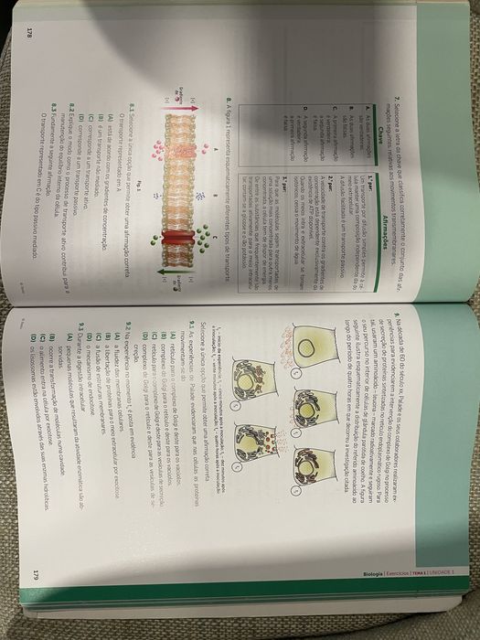 Preparar os Testes Biologia e Geologia 10 ano