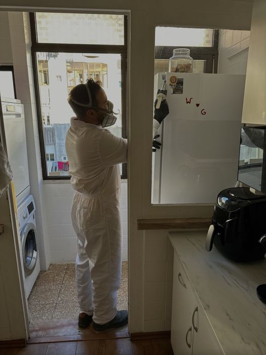 Desinfestacao PERCEVEJOS BARATAS PULGAS TERMITAS