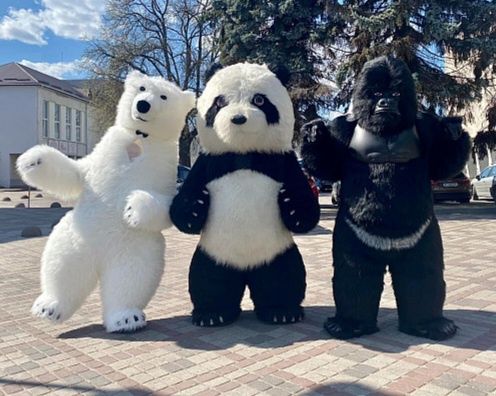 Привітання на день народження, Зайчик, мішка, аніматор